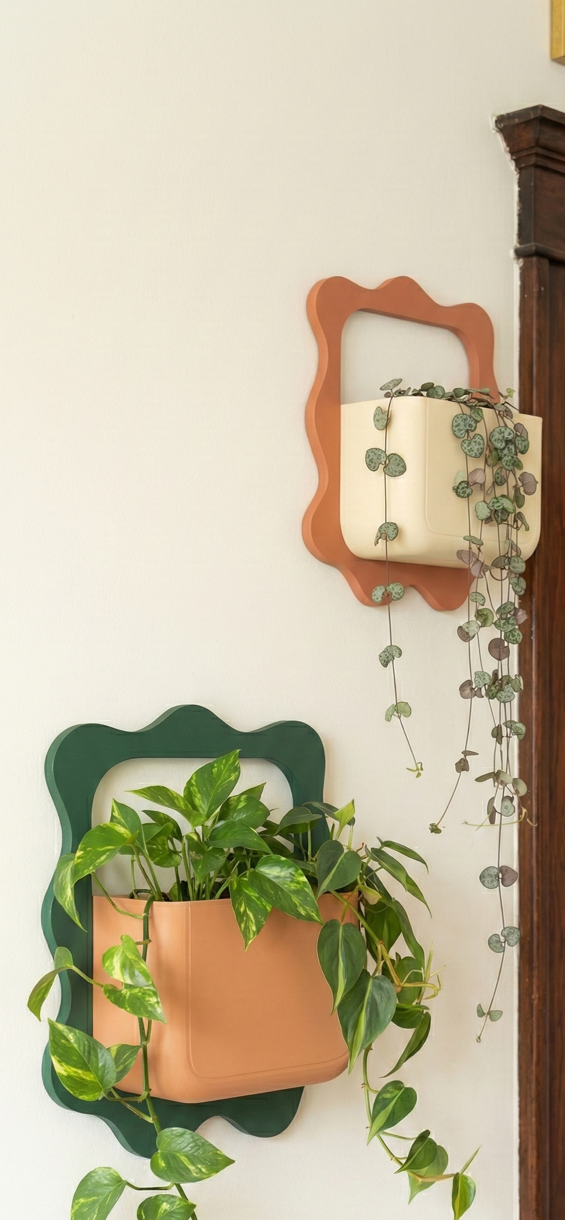 Decorative wall planters with plants on a white wall.